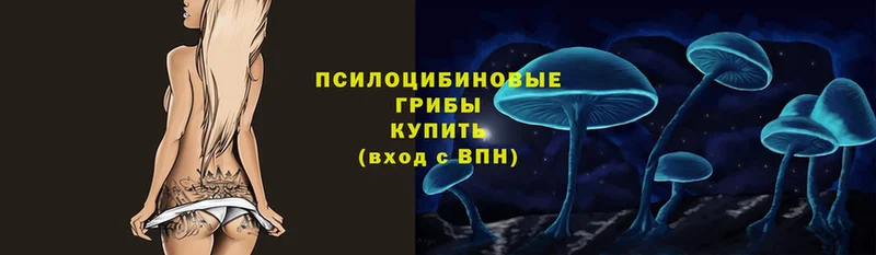 shop какой сайт  Кукмор  Галлюциногенные грибы Magic Shrooms 